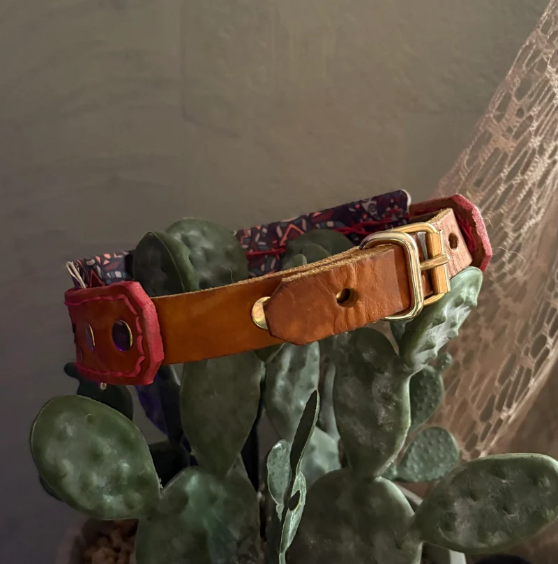 Halsband Cutie