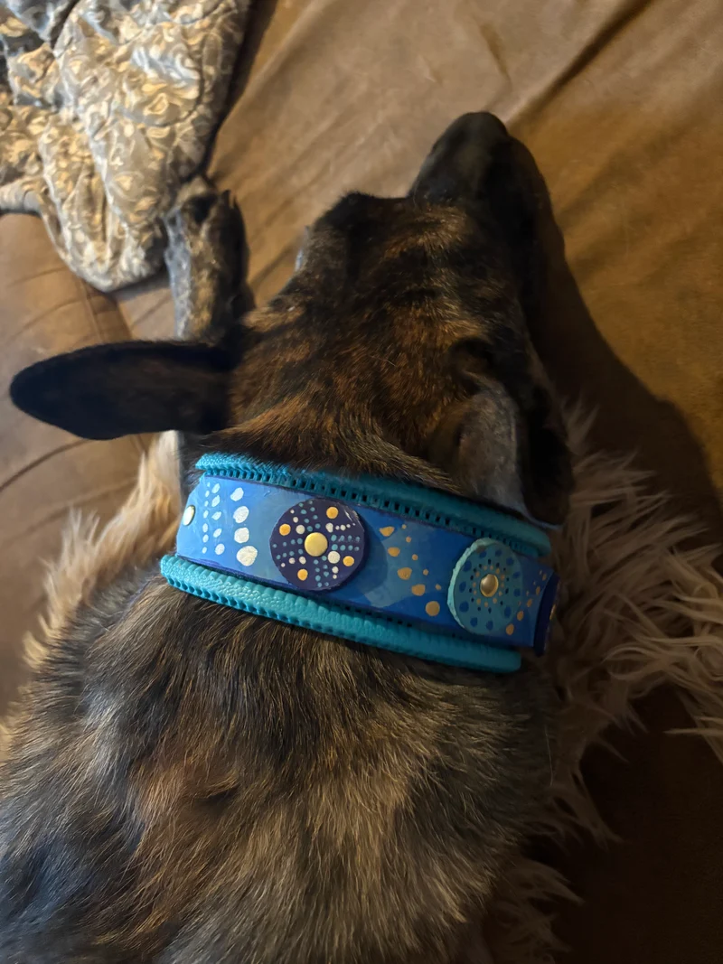 Halsband Blue