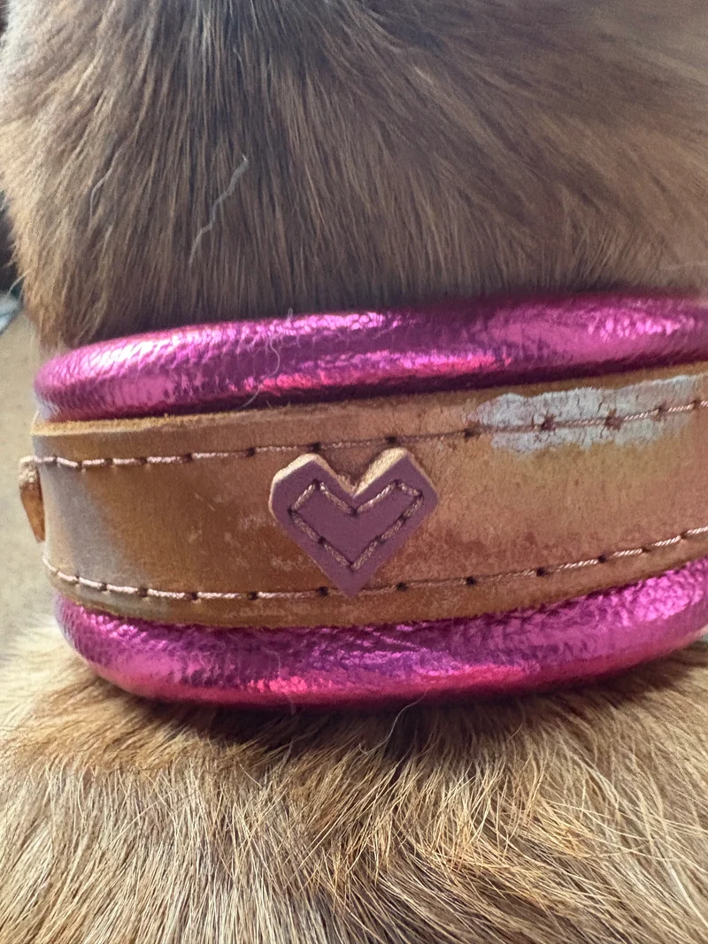 Halsband Love