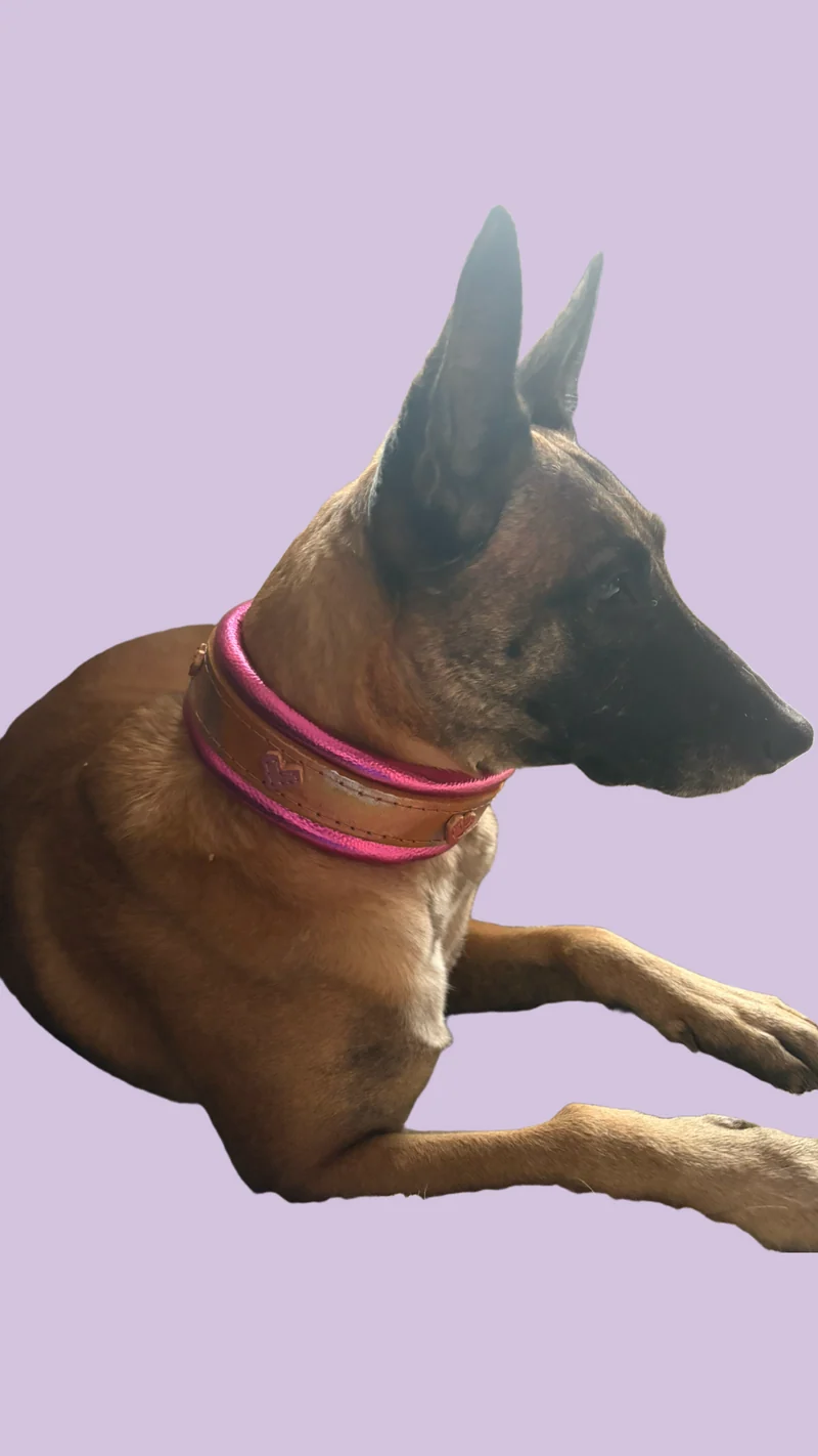 Halsband Love
