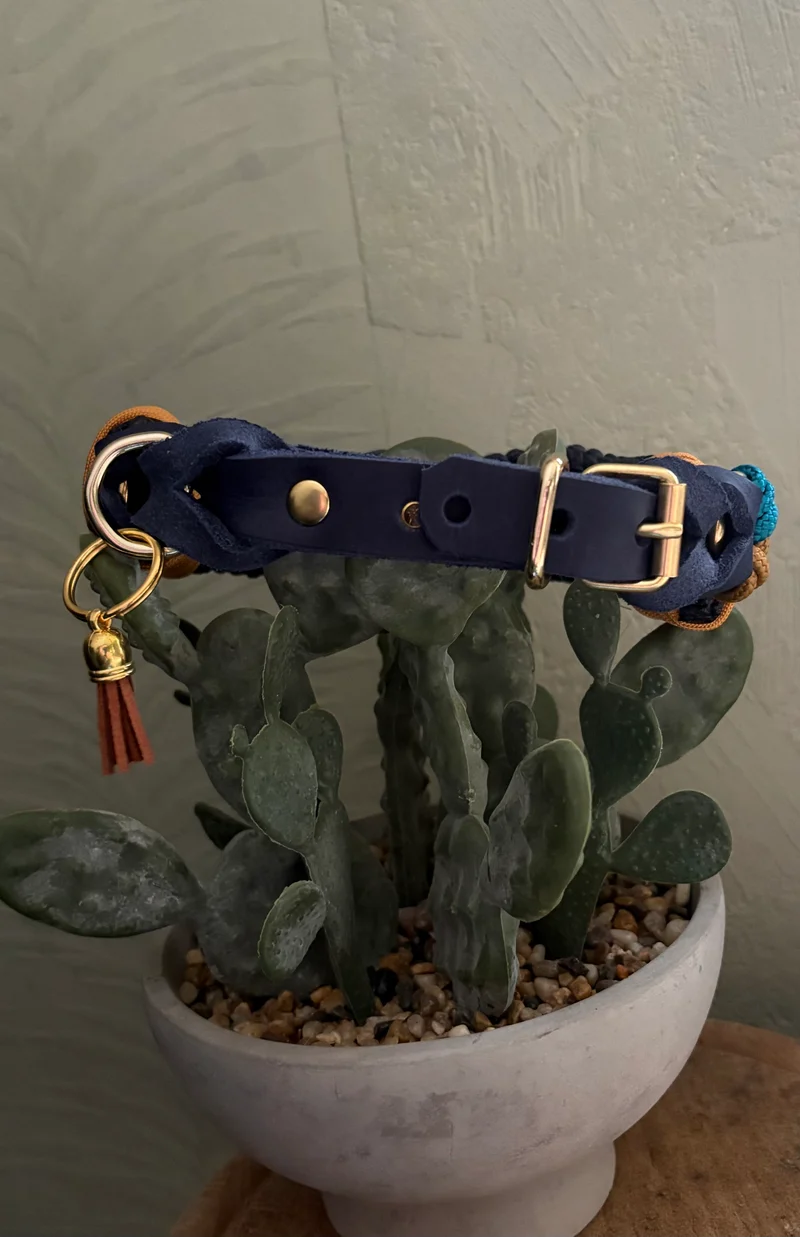 Halsband Braid