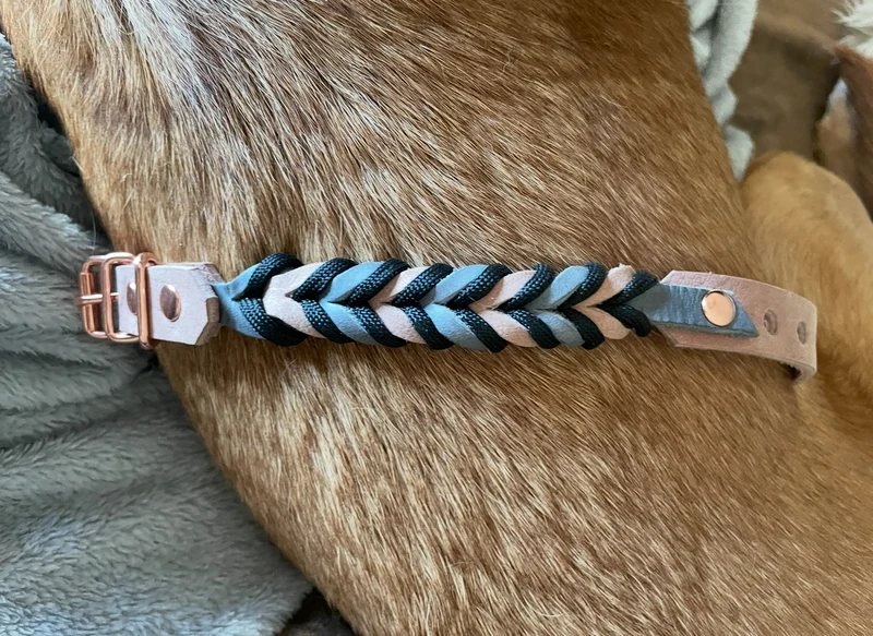 Halsband Diva