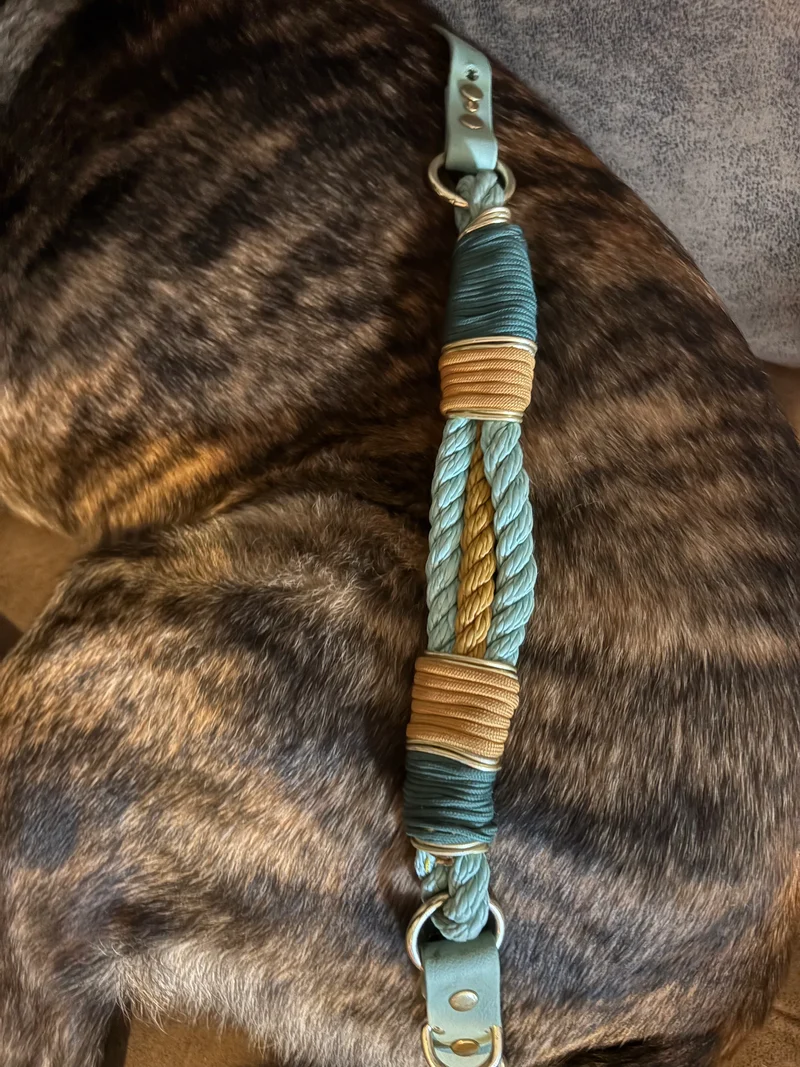 Halsband Sinfoni