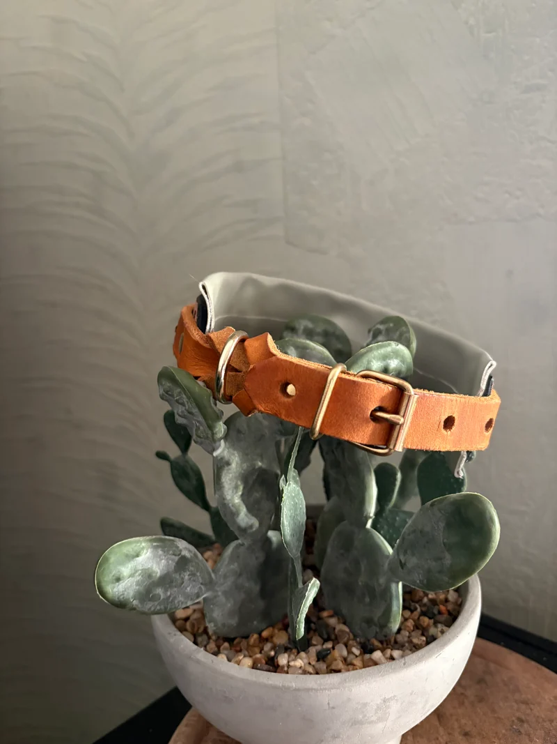 Halsband Chill