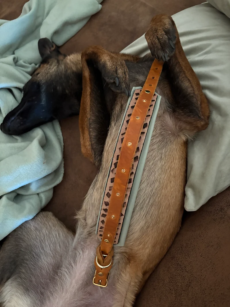Halsband Chill