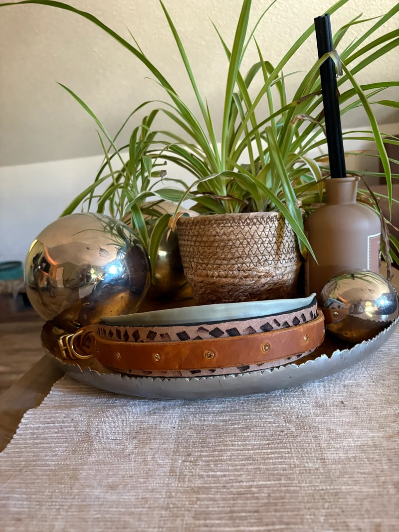 Halsband Chill