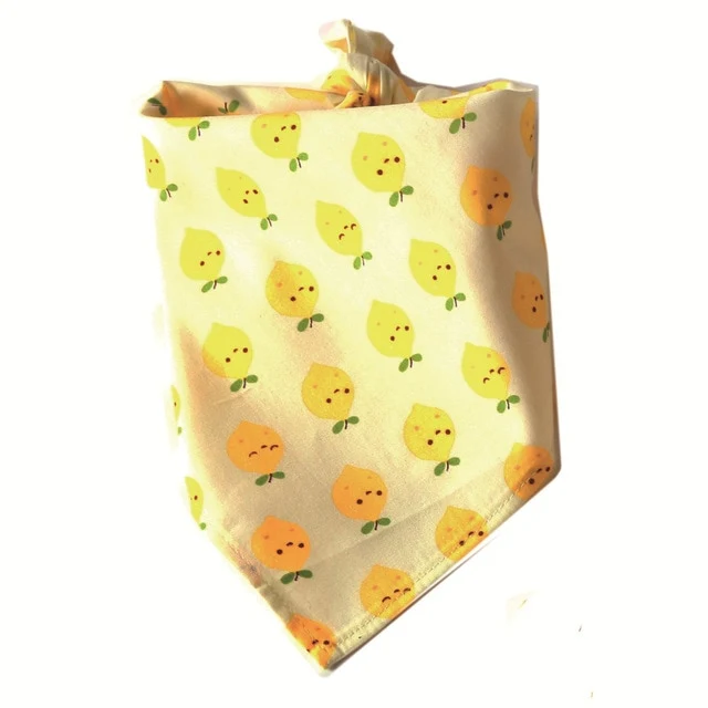 Fruit Neck Scarf