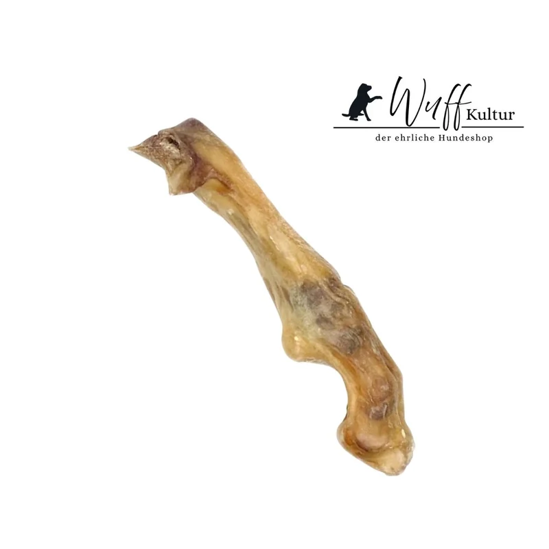 Lamm-Unterbein – bekömmlicher Naturknochen für Hunde