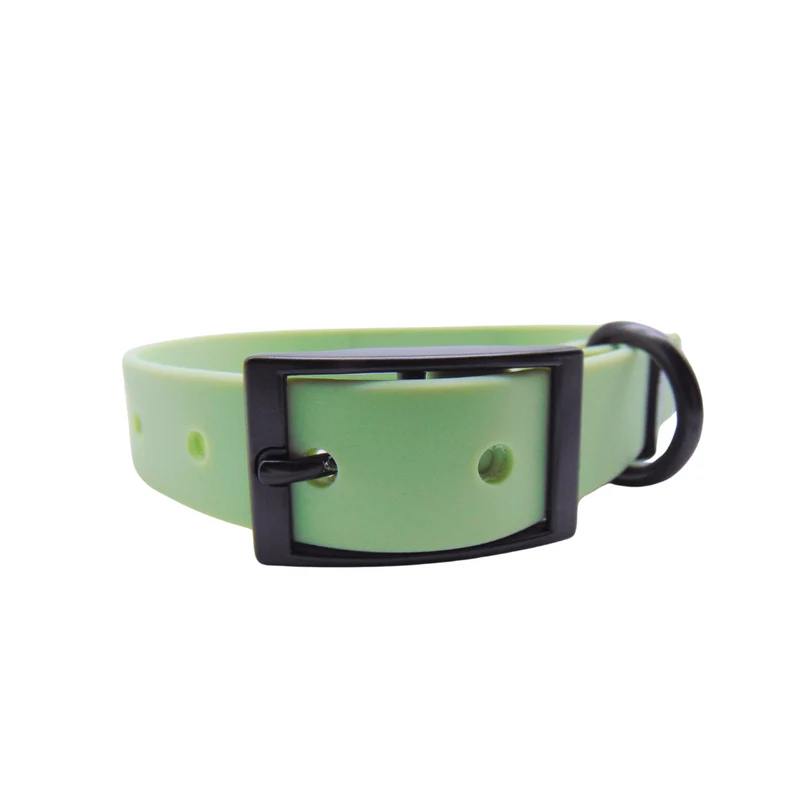 Hundehalsband "Schietwedda" Mint
