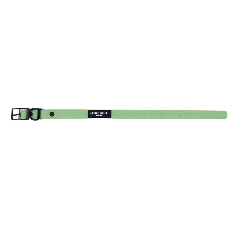 Hundehalsband "Schietwedda" Mint