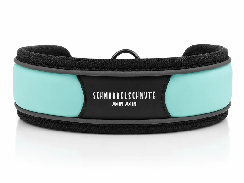 Hundehalsband "Allwedda" Mint
