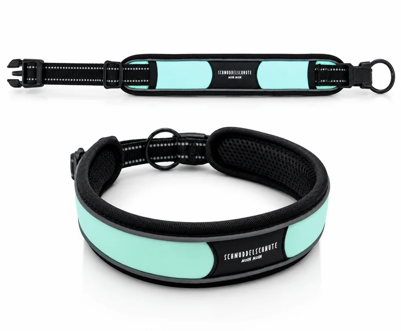 Hundehalsband "Allwedda" Mint