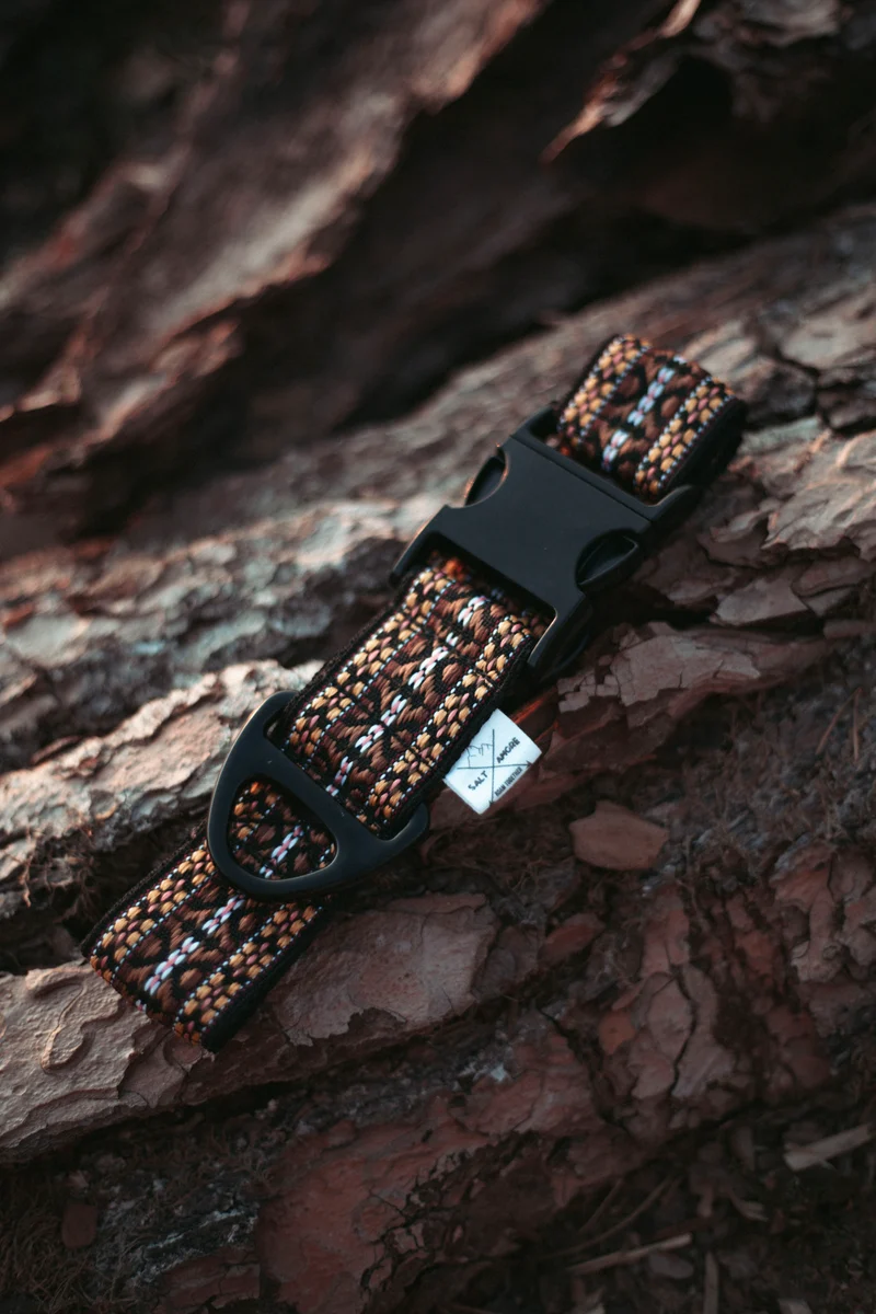 NØRDEN PAWS | Canyon | verstellbares Hundehalsband