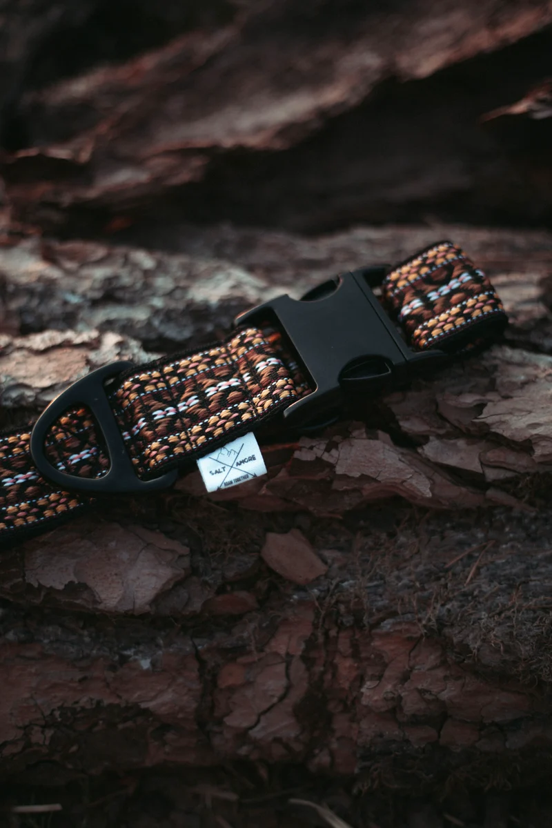 NØRDEN PAWS | Canyon | verstellbares Hundehalsband