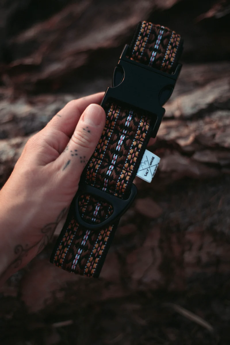 NØRDEN PAWS | Canyon | verstellbares Hundehalsband