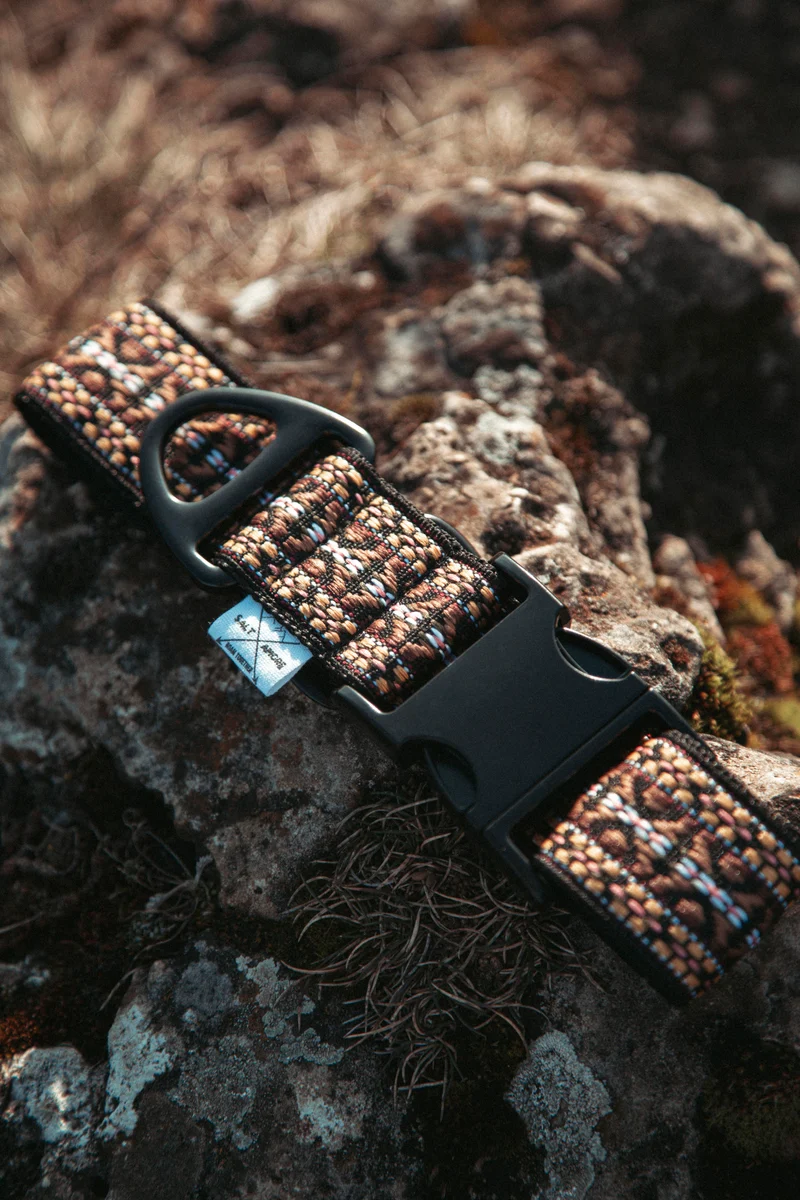 NØRDEN PAWS | Canyon | verstellbares Hundehalsband