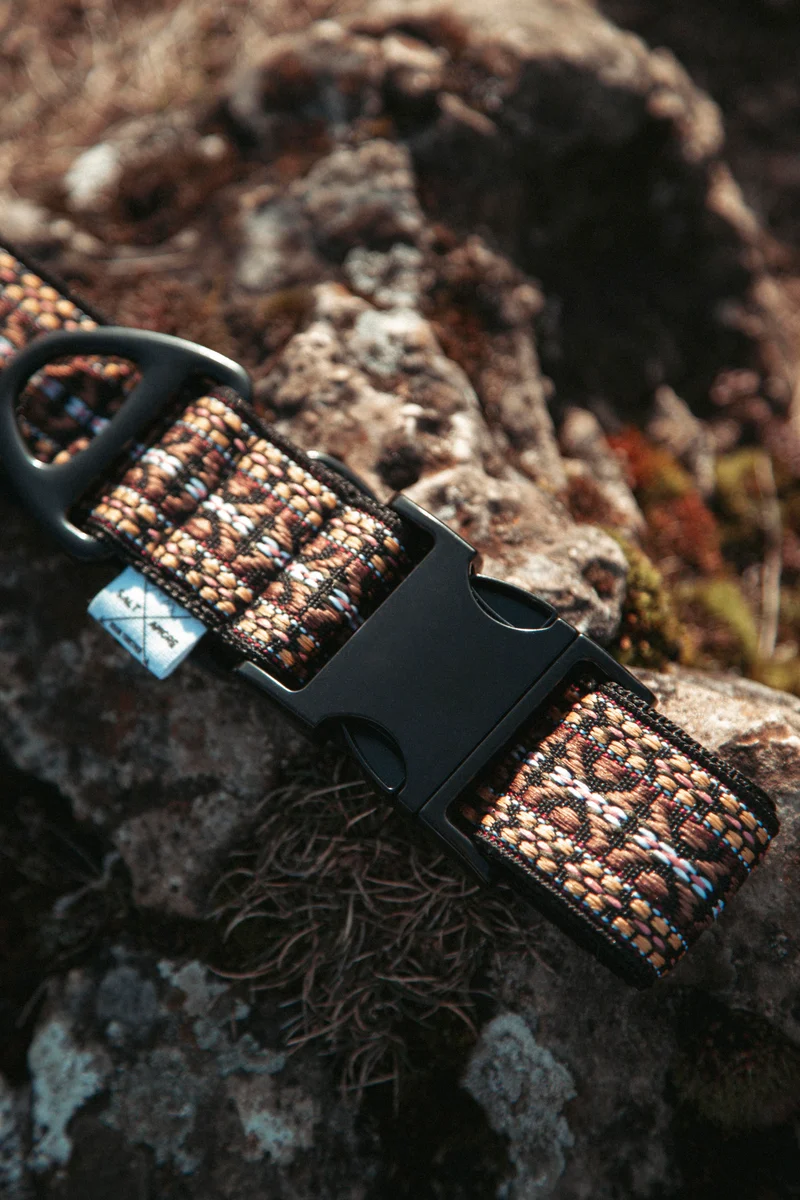 NØRDEN PAWS | Canyon | verstellbares Hundehalsband