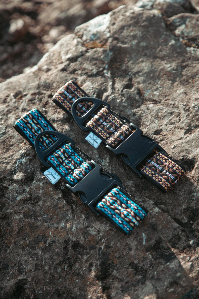 NØRDEN PAWS | Canyon | verstellbares Hundehalsband