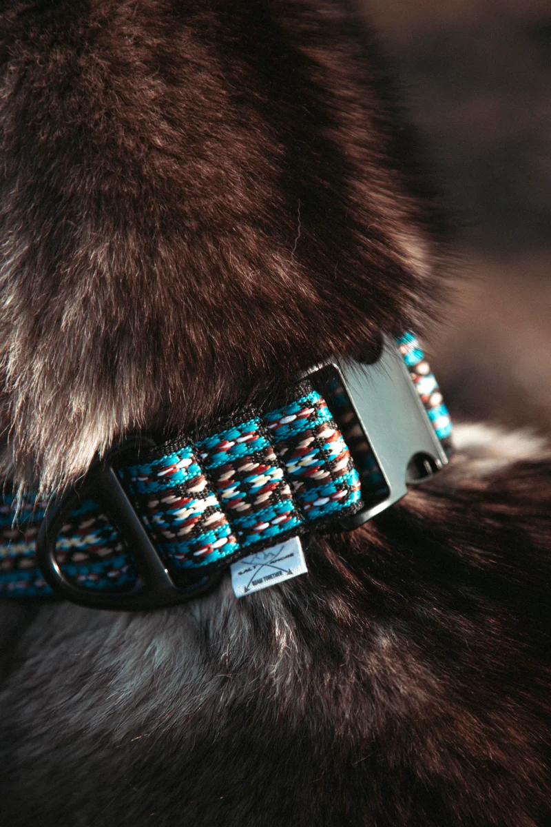 NØRDEN PAWS | Glacier | verstellbares Hundehalsband