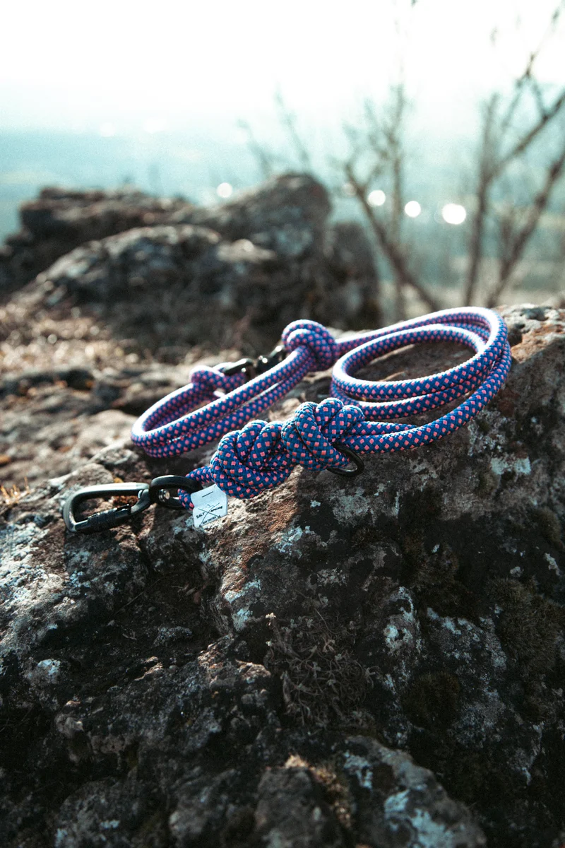 Mountain Climber | Führleine