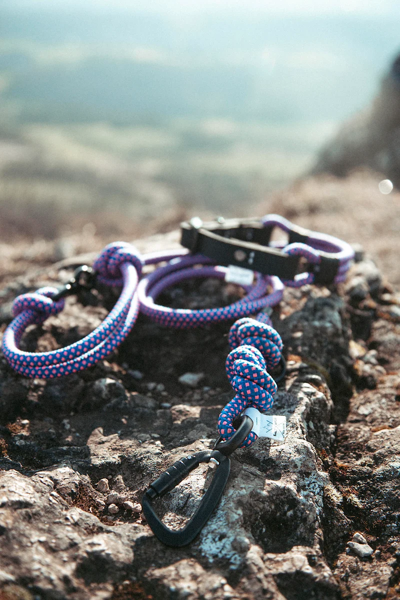 Mountain Climber | Führleine