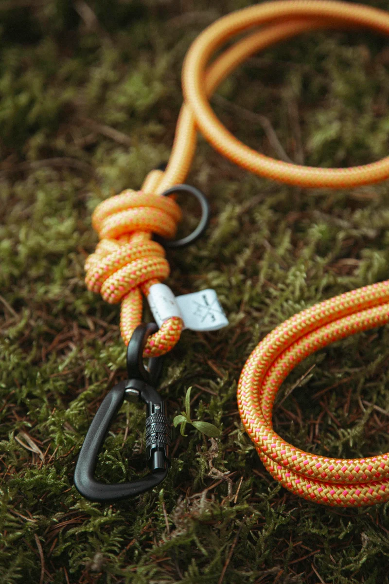 Mountain Climber | Führleine