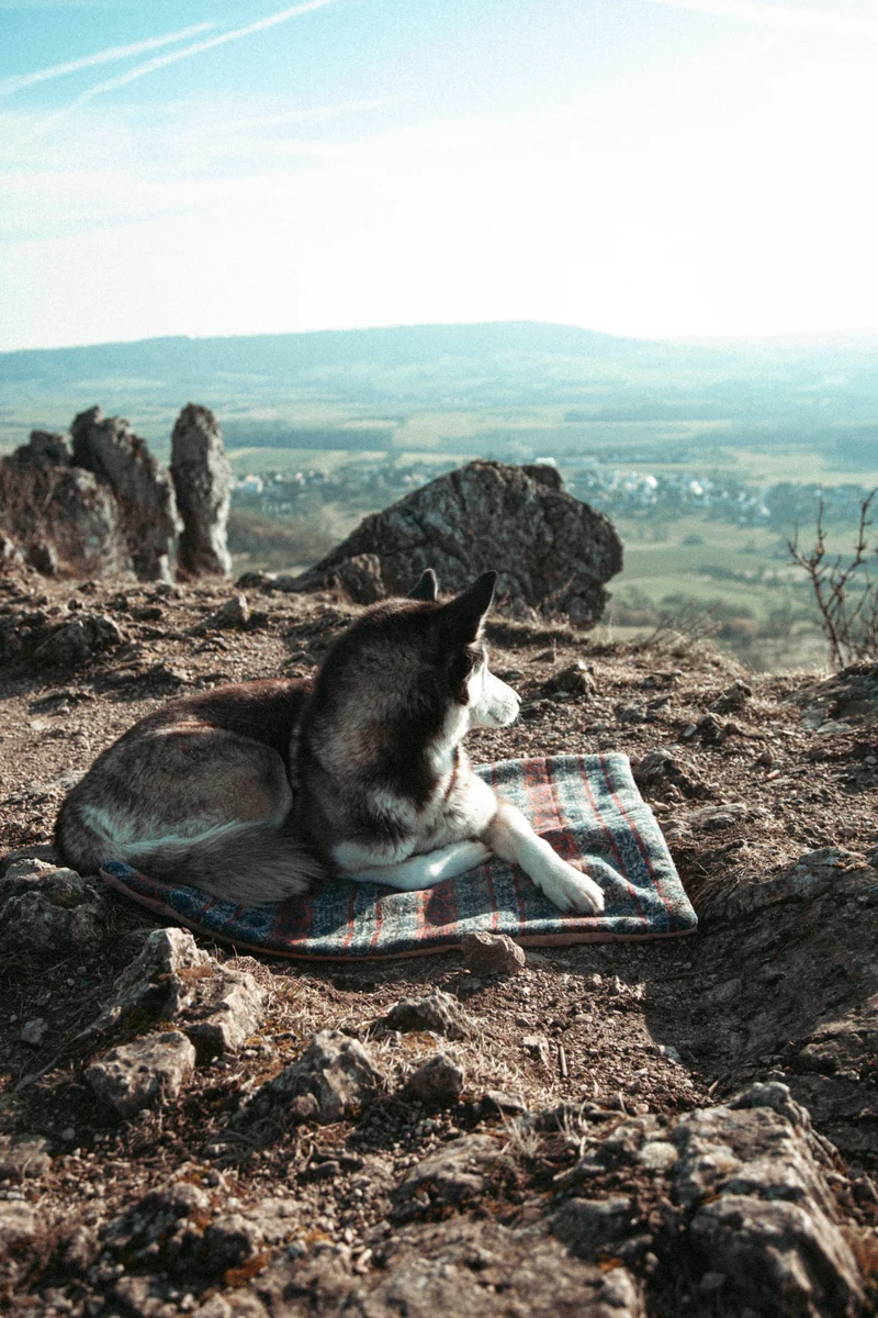 Northern Summit Collection - Basecamp | Travel Blanket
