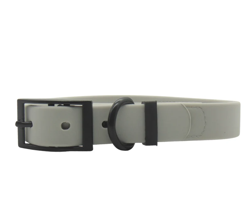 Hundehalsband "Schietwedda" Grau
