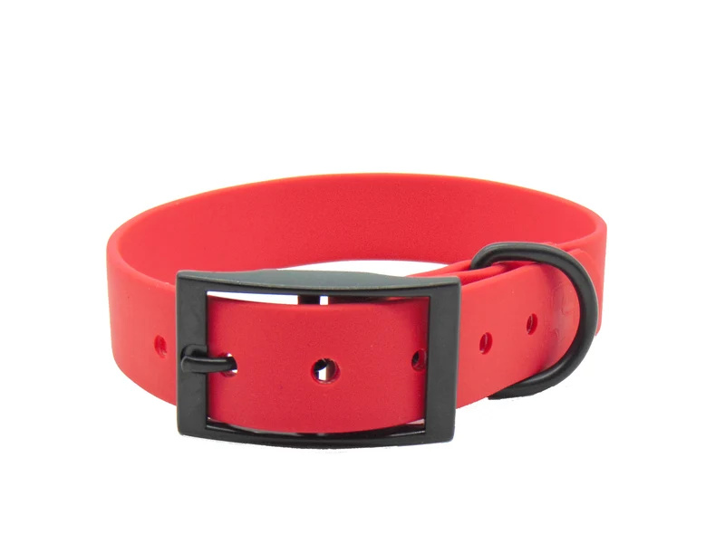 Hundehalsband "Schietwedda" Bordeaux