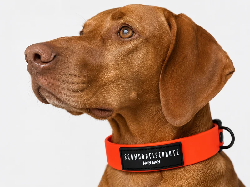 Hundehalsband "Schietwedda" Neon Orange