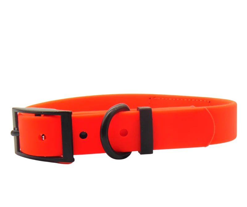 Hundehalsband "Schietwedda" Neon Orange