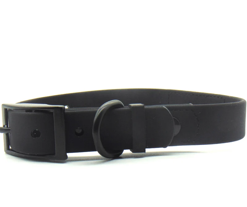 Hundehalsband "Schietwedda" Schwarz