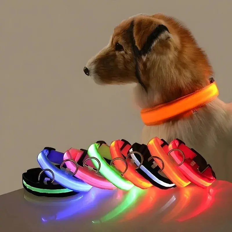 Nylon-LED-Nachtsicherheits-Hundehalsband