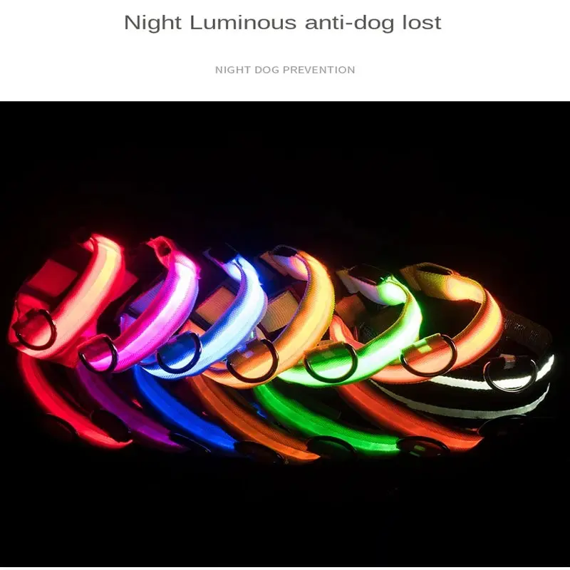 Nylon-LED-Nachtsicherheits-Hundehalsband