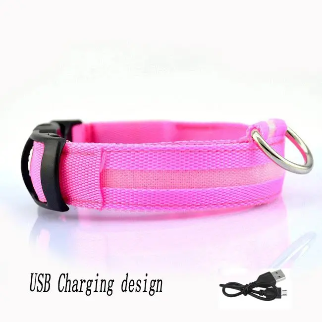 Nylon-LED-Nachtsicherheits-Hundehalsband