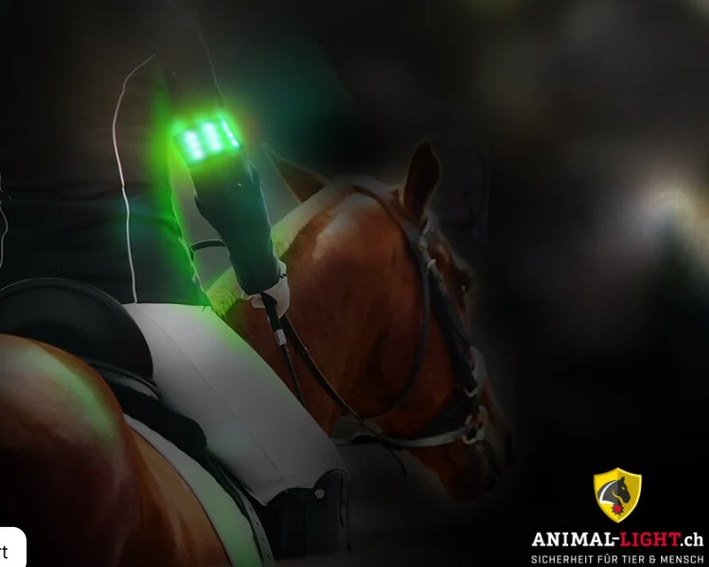 LED Armbinde Flex