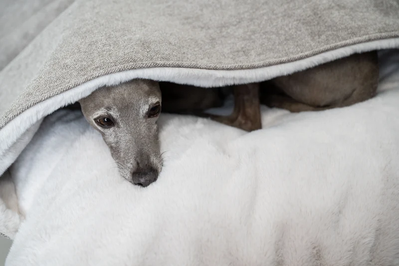Hundeschlafsack "Hideaway" - Cottage- Taupe