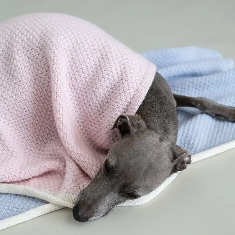 Hundedecke "Perla Deluxe"