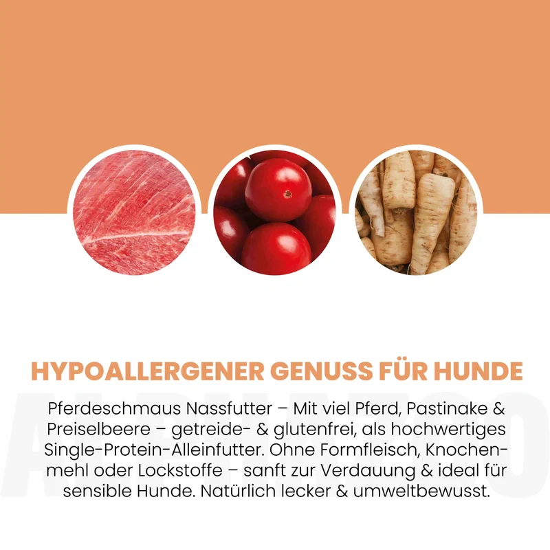 Monoprotein Pferd Nassfutter für Hunde