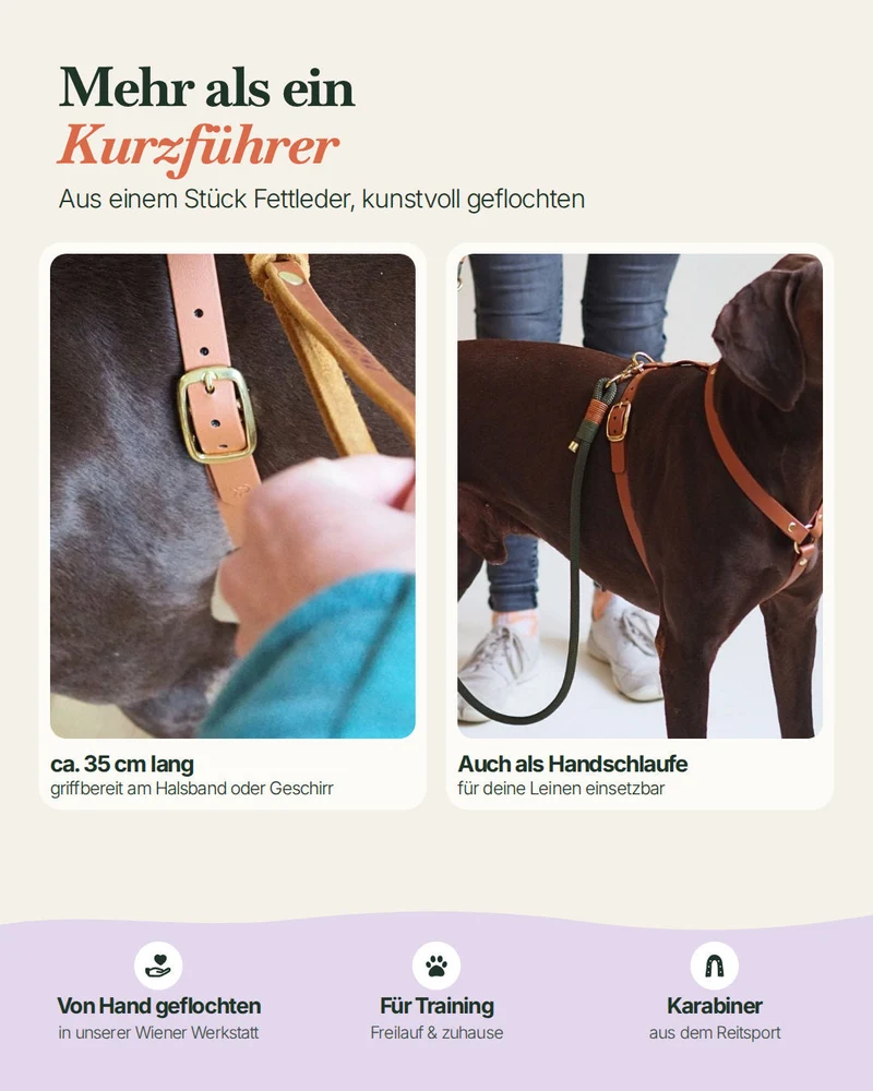 Kurzführer/Hausleine aus Leder