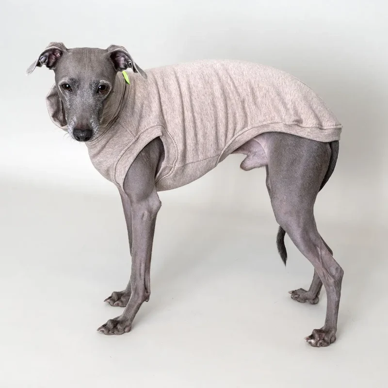 Hunde-Shirt Homewear – Creme