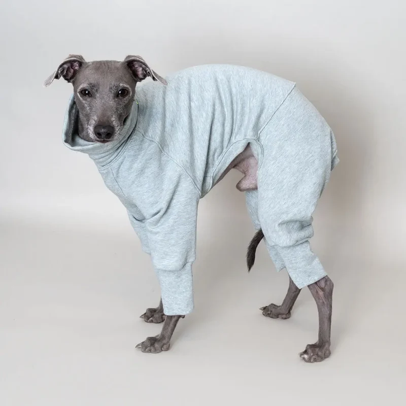 Hunde-Overall Homewear – Mint