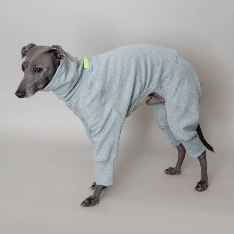 Hunde-Overall Homewear – Mint