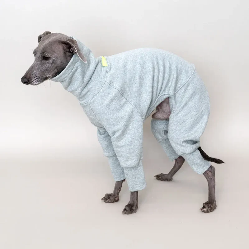Hunde-Overall Homewear – Mint