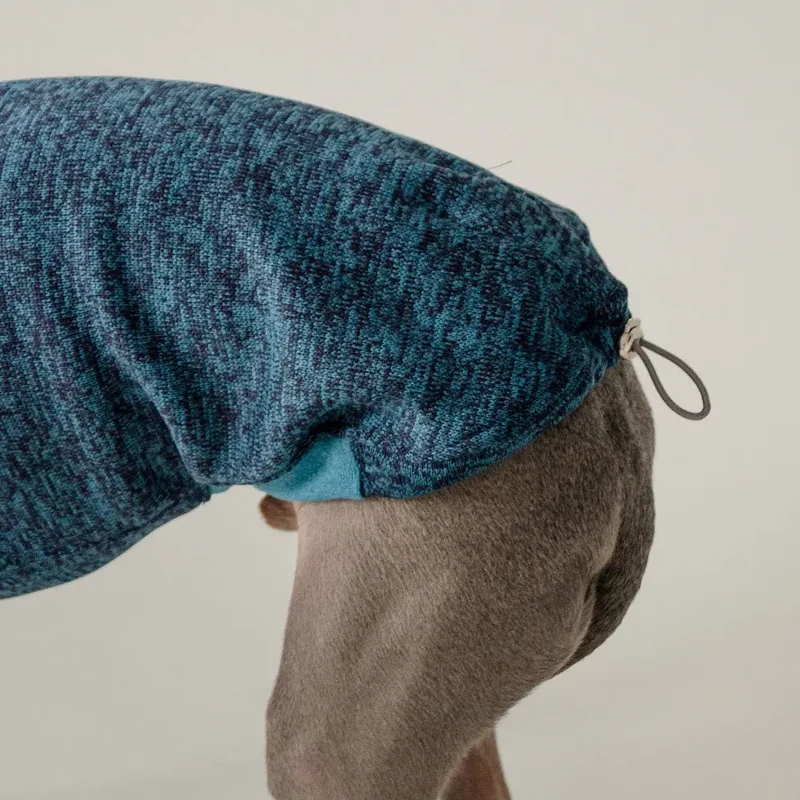 Pulli für Hunde "SPEED-VARIO"-Petrol