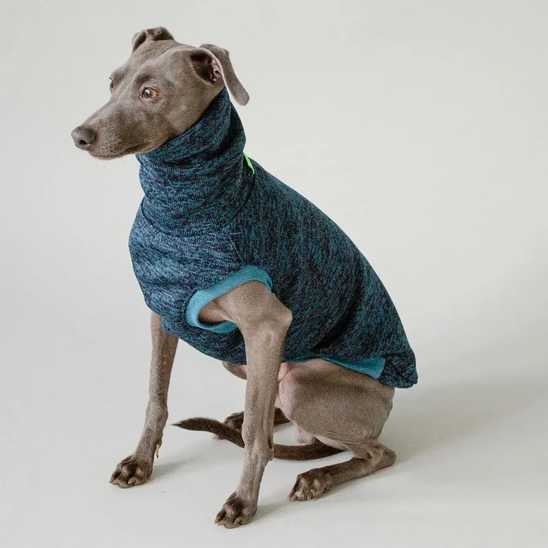 Pulli für Hunde "SPEED-VARIO"-Petrol