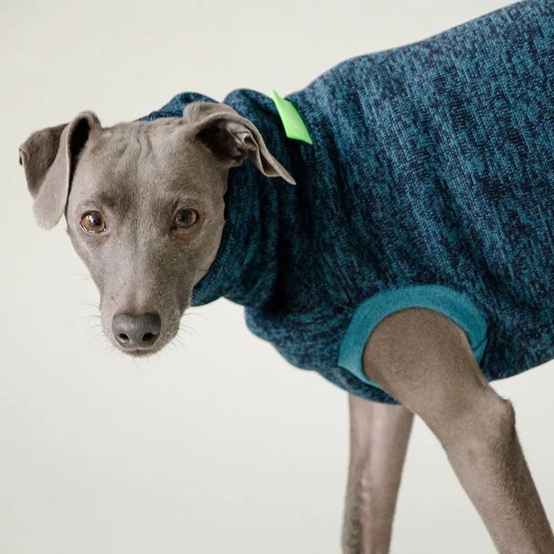 Pulli für Hunde "SPEED-VARIO"-Petrol