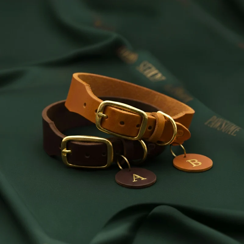 Set | Lederhalsband & Leine in Cognac