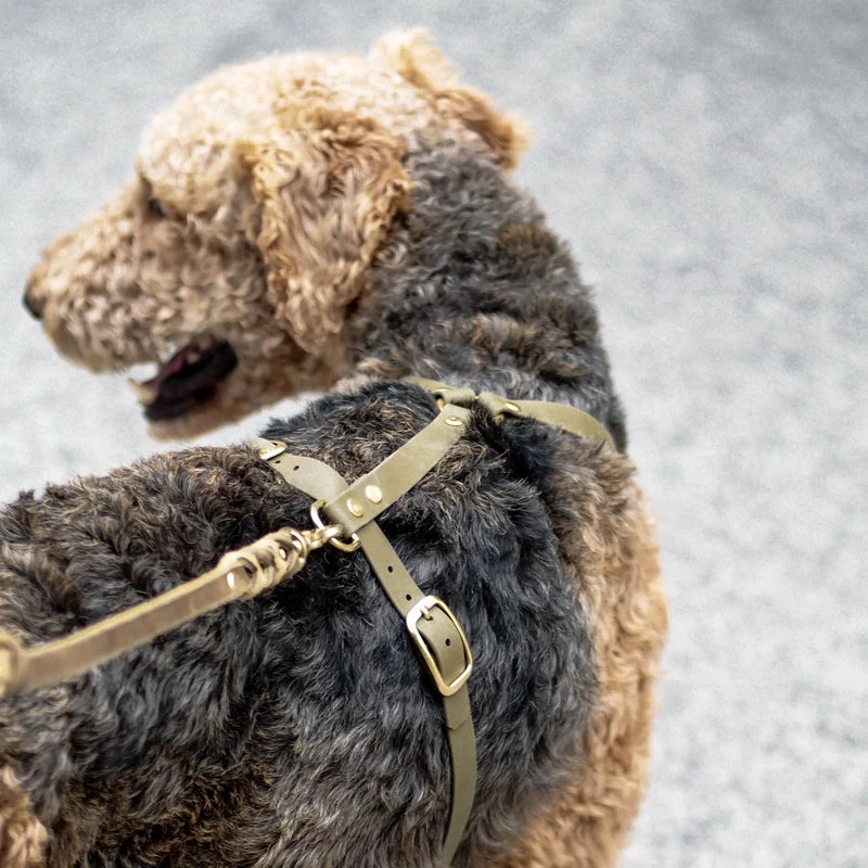 Hundegeschirr aus Biothane 'Mika' | Khaki