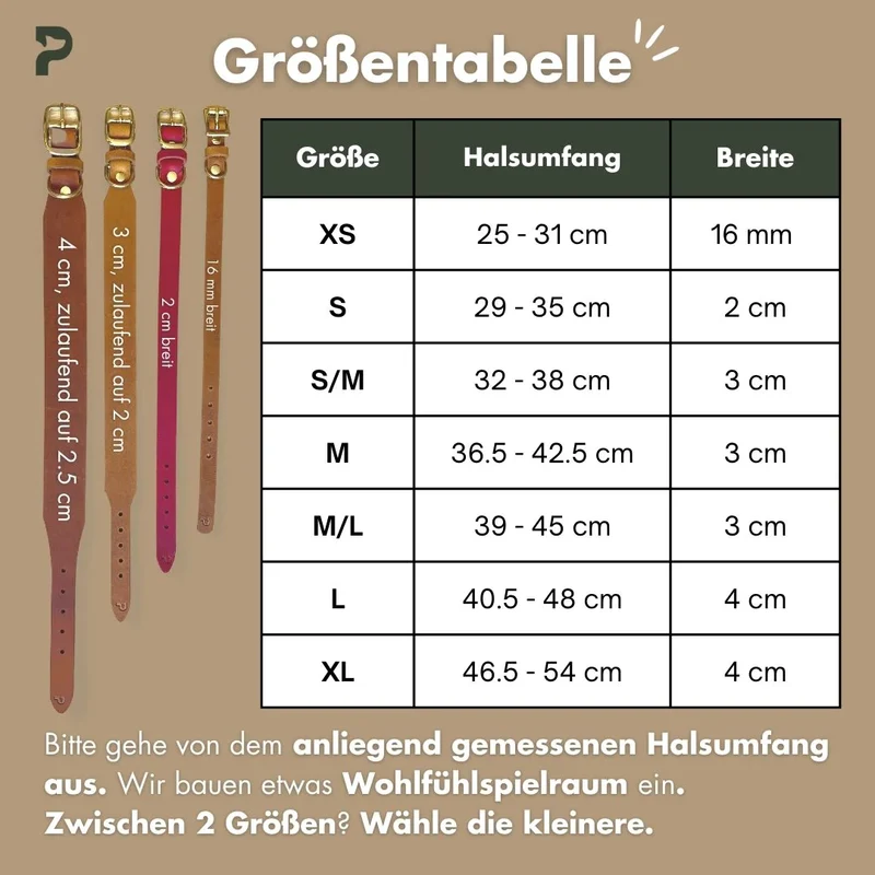 Set | Lederhalsband & Leine in Schwarz